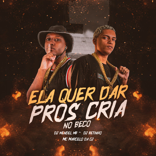 MC MARCELO DA CJ - ELA QUER DAR PROS CRIA NO BECO - DJ WENDEL WB & DJ BETINHO