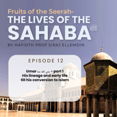 Seerah Program By Hafiz Prof Siraj Ellemdin - Fruits of the Seerah - Episode 12