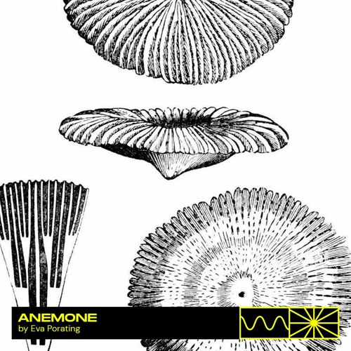 Anemone 01/23 by Eva Porating