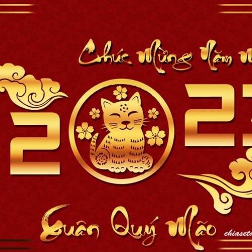 VinaShup 7- DK (Cha Và Con Gái )