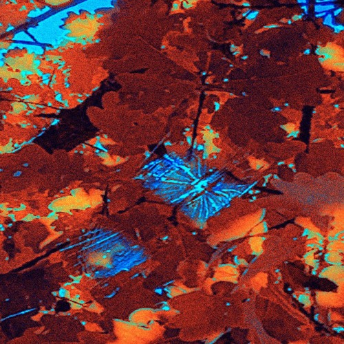 UNpact ๑prod.9biuu๑