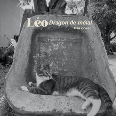 DRAGON DE METAL (IZIA COVER)