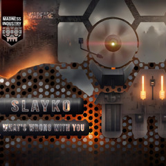 Slayko - What's wrong with you
