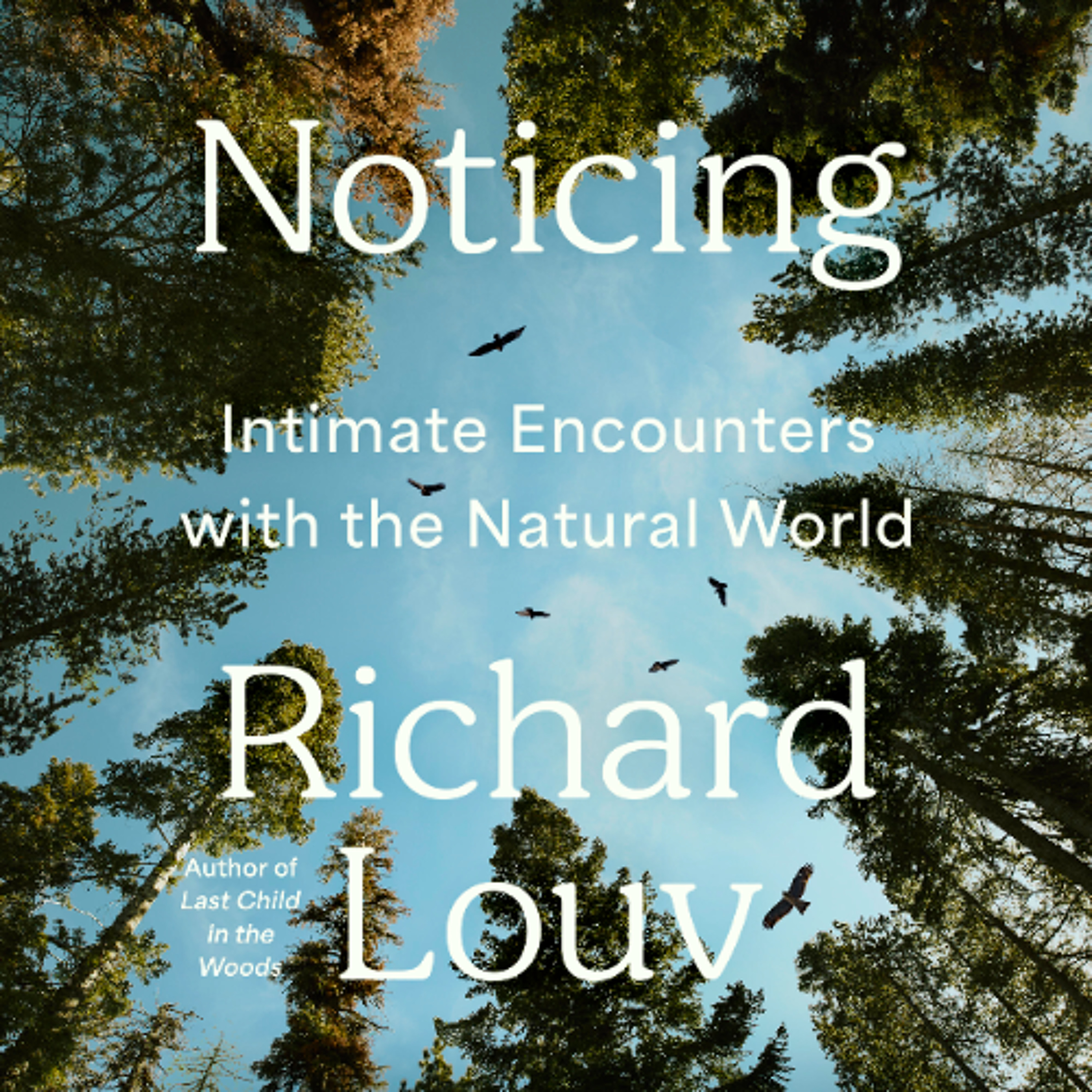 Noticing by Richard Louv Read by Alan Peterson