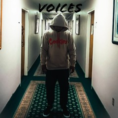 Voices