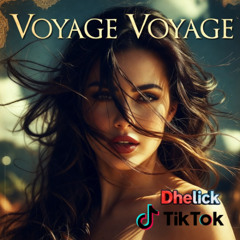 Tic Tok Viral Songs : Voyage Voyage (DLK Edition)