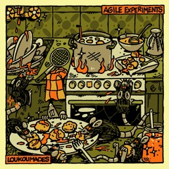 Agile Experiments - F* *K*D It