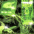 Artwork for Pyramid Alyss Jungle Remix - centricpulse
