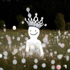 King mezak