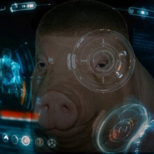 jarvis activate funk