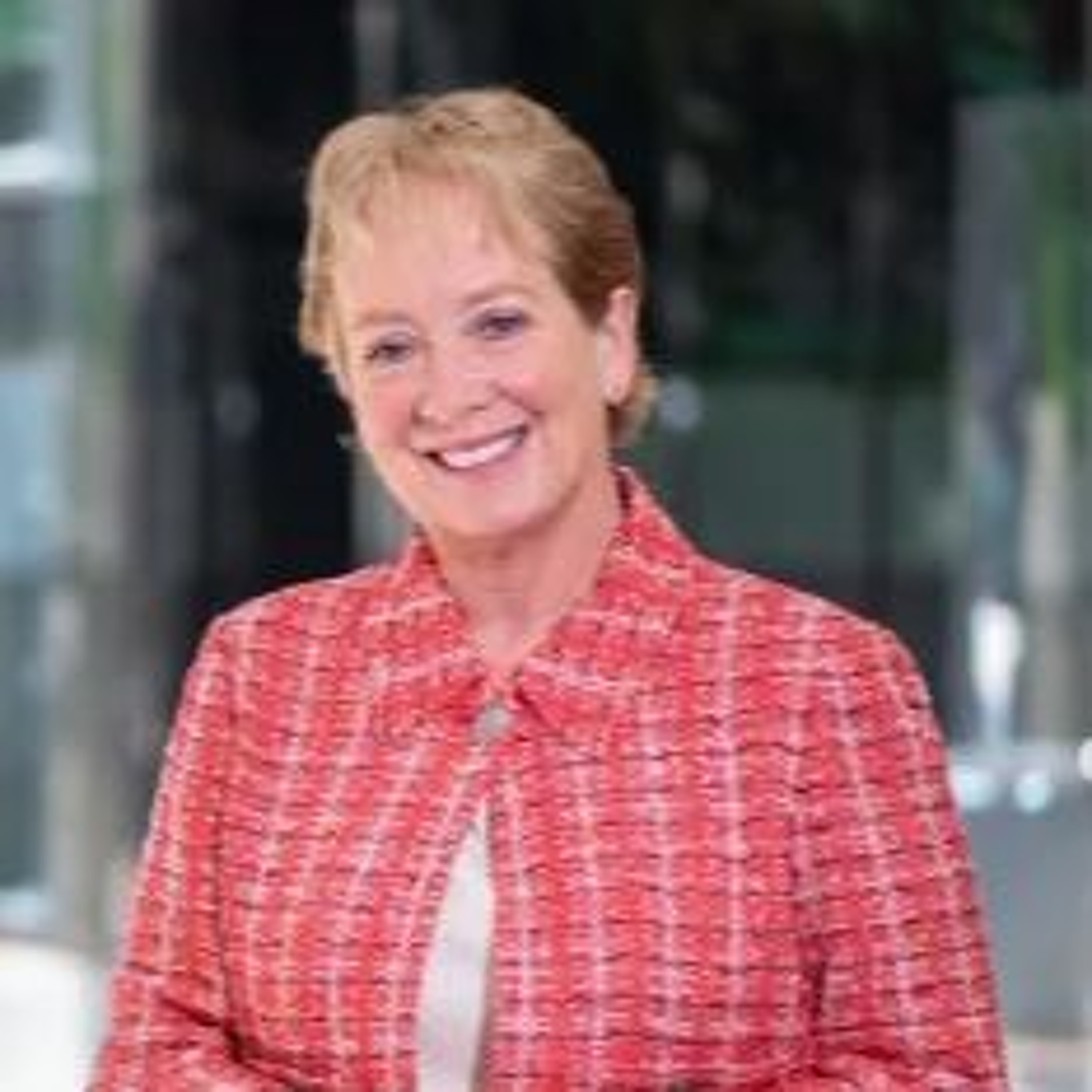 H.I. Ep. 146 – Julie A. Freischlag, MD, FACS, FRCSEd(Hon), DFSVS, MAMSE episode artwork