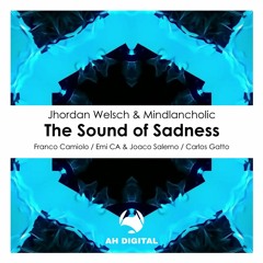 Jhordan Welsch & Mindlancholic - The Sound Of Sadness (Carlos Gatto Remix)