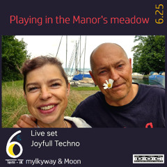 Playing in the Manor's meadow