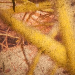 Des forêts inversées