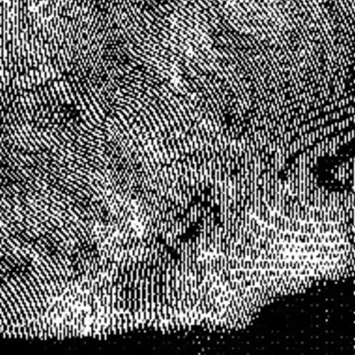 isolation (celA mix)