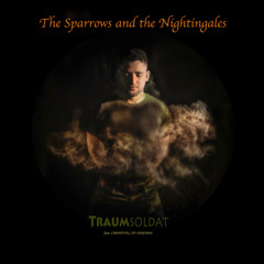 The Sparrows And The Nightingales (Alltagswut Mischung) [feat. Carnival Of Dreams]