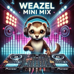 Weazel Mini Mix
