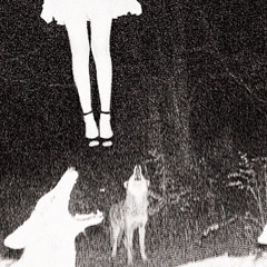 Isn’t he so weird (prod. slaughterhill)