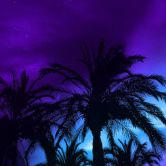 vice city
