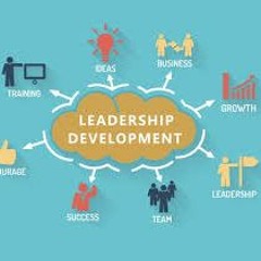 Leadership Development Consulting Firm