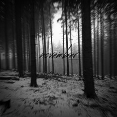 dub performance. - november