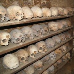 Poison Tree - Grouper (slowed)