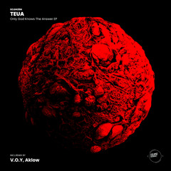 Teua - Only God Knows The Answer (V.O.Y Remix)