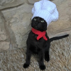 I Did Not Evacuate The Hurricane (Produced by Mountain Rivers)