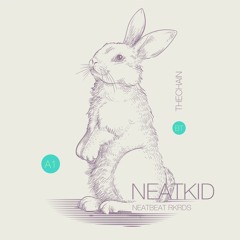 FLEETWOOD MAC - THE CHAIN  [NEATKID REMIX]