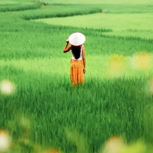 Stream Cafe De Anatolia CHILL - Fields Beautiful Chill Music Mix Dj Mix ...