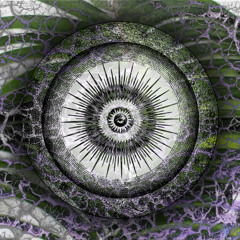 Transmissions Of The Leaves Of The Fabric Tree