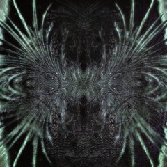 Qi - Magmadiver