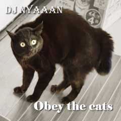 Obey the cats