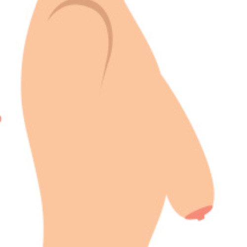 InderTekk - Hängetitten