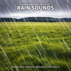 Rain Sounds, Pt. 18