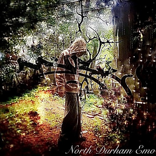 not midwest emo (everestdidthis)