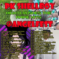 NIGHTCRUSHES THE ANIME HITS @ANGELFEST 6/27-28/2021