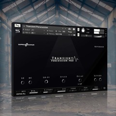Transient Percussion Pro - Kontakt