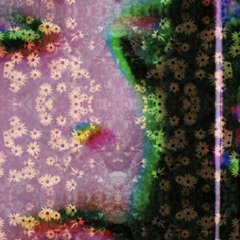 What We Get Is What We Get