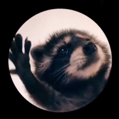 TikTok Raccoon Dance Song Remix ( Raffaella Carra x Jaxomy & Agatino Romero - Pedro )