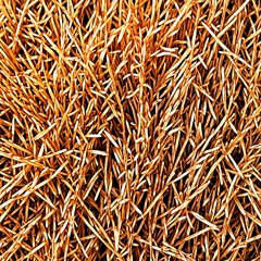 27zig - Harvest (Demo)