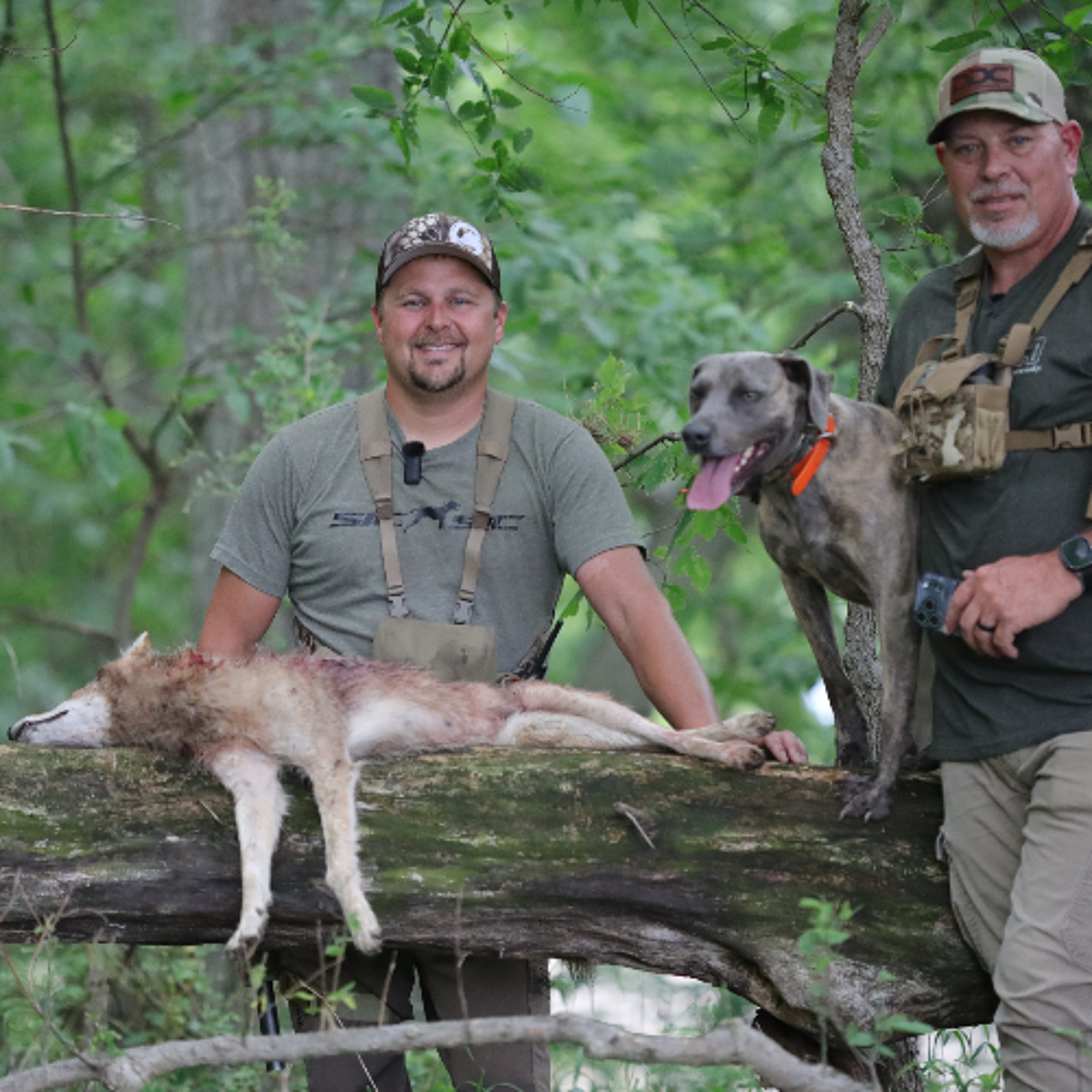 Predator Pros Episode 113: Doggin with Austin and Tate episode artwork