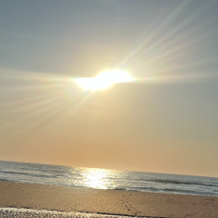 sunshine (1)