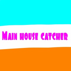 Main House Catcher