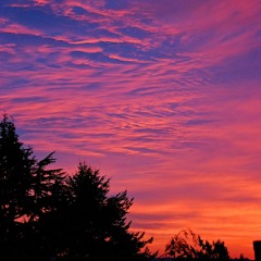 Cozy Lofi Beat(prod. by anp.Beats)