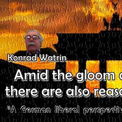 A German liberal perspective on EU & international hot political issues: CbT speaks to Konrad Watrin