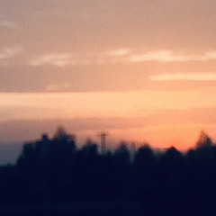 ｈｅｎ ｅｍ ｋｉｅｐ ｓａｕ－ｌｏｆｉ（ｍｉｎｈ ｋｈｏｎ）