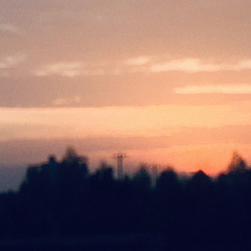 ｈｅｎ ｅｍ ｋｉｅｐ ｓａｕ－ｌｏｆｉ（ｍｉｎｈ ｋｈｏｎ）