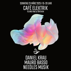 Needles Musik 23.03.2025 Schaulust - Cafe Elektrik - Techno Tanz & Törtchen "20 Years of Techno"