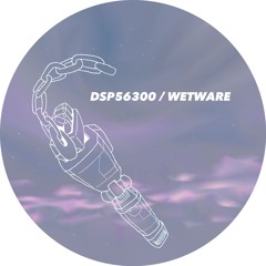 DSP56300